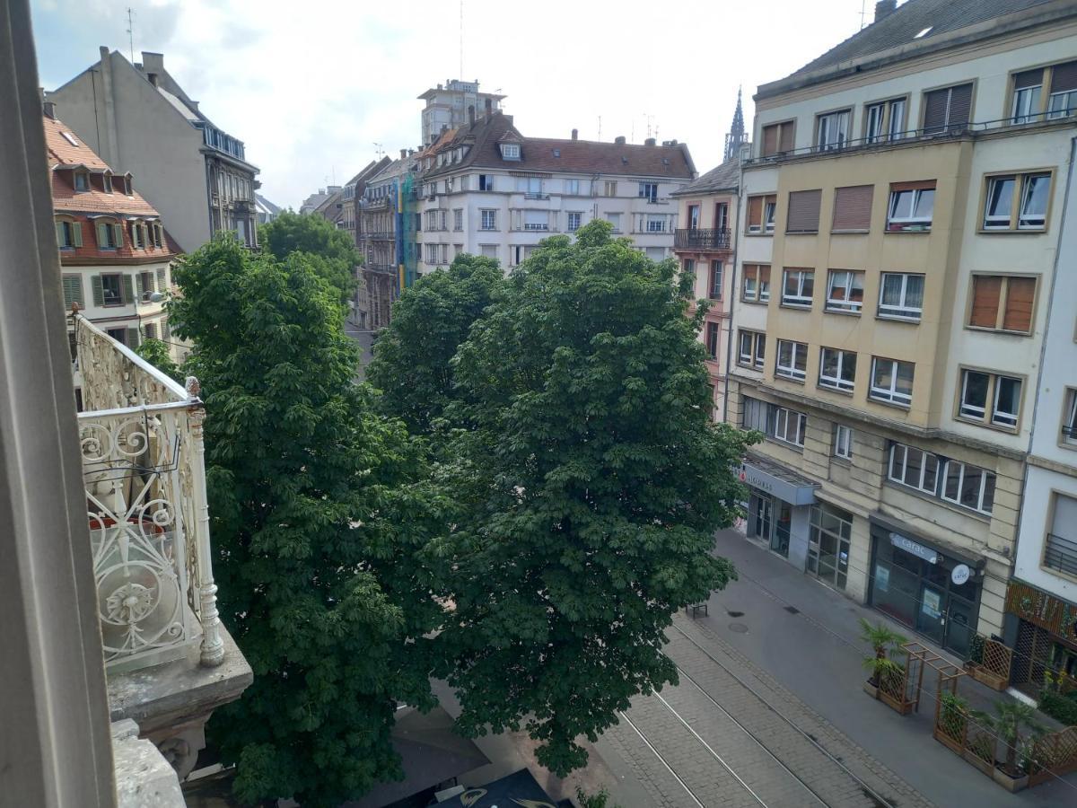 Grand Au Coeur De Strasbourg